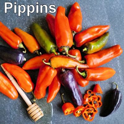 09pippins400.jpg